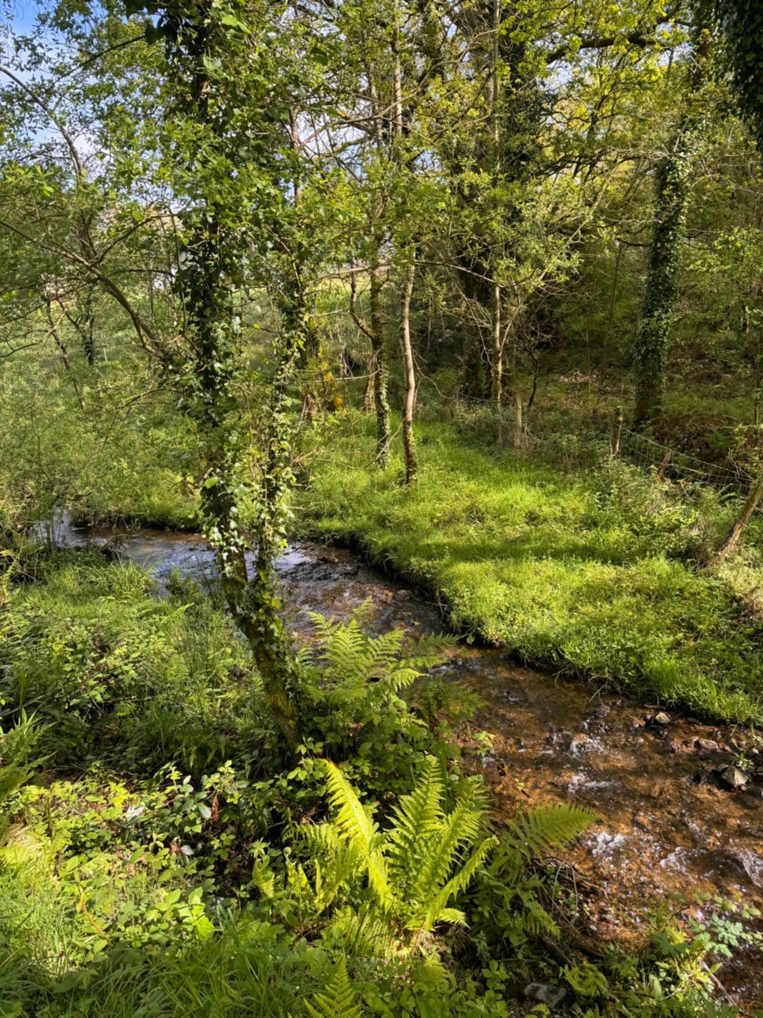 L Antre De Kergoff Villa Caurel  Bagian luar foto